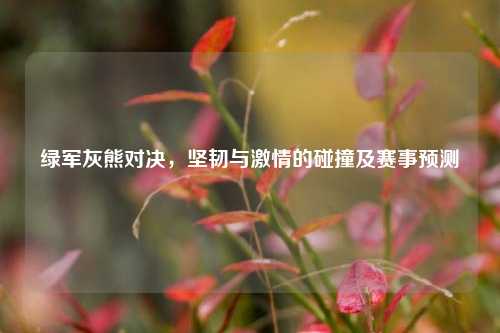 绿军灰熊对决，坚韧与激情的碰撞及赛事预测