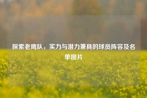 探索老鹰队，实力与潜力兼具的球员阵容及名单图片