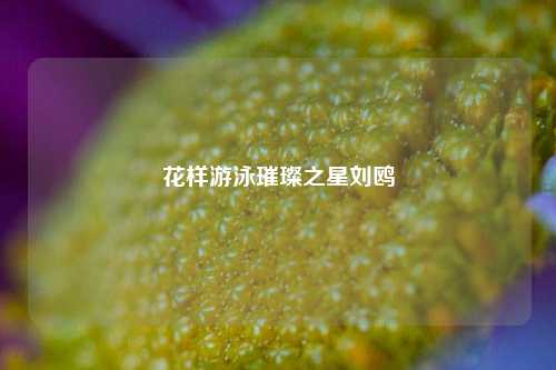 花样游泳璀璨之星刘鸥