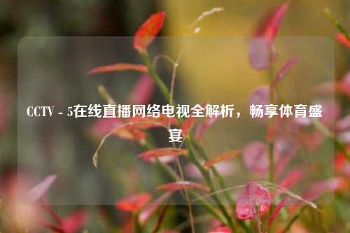 CCTV - 5在线直播网络电视全解析，畅享体育盛宴