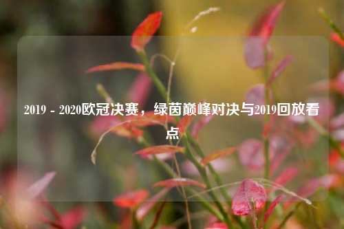 2019 - 2020欧冠决赛，绿茵巅峰对决与2019回放看点