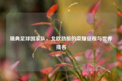 瑞典足球国家队，北欧劲旅的荣耀征程与世界排名