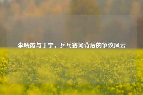 李晓霞与丁宁，乒乓赛场背后的争议风云