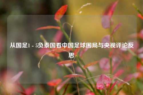 从国足1 - 5负泰国看中国足球困局与央视评论反思