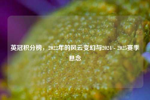 英冠积分榜，2022年的风云变幻与2024 - 2025赛季悬念