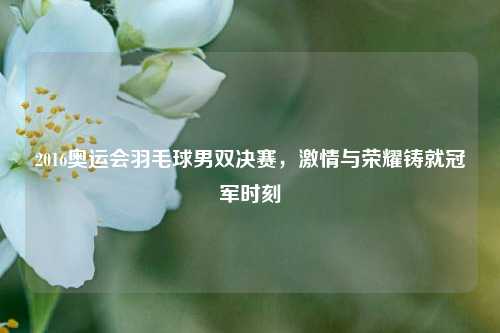 2016奥运会羽毛球男双决赛，激情与荣耀铸就冠军时刻