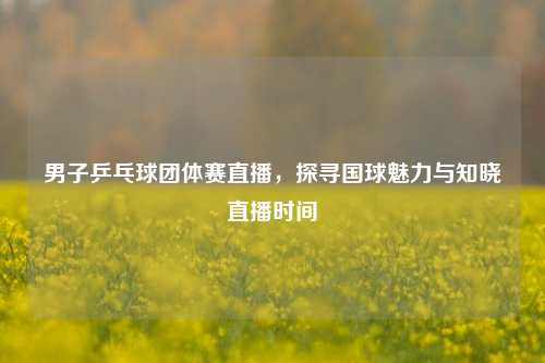 男子乒乓球团体赛直播，探寻国球魅力与知晓直播时间