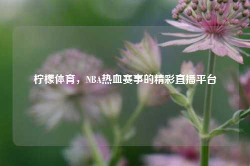 柠檬体育，NBA热血赛事的精彩直播平台