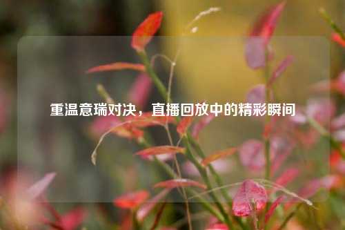 重温意瑞对决，直播回放中的精彩瞬间