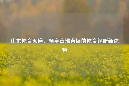 山东体育频道，畅享高清直播的体育视听新体验