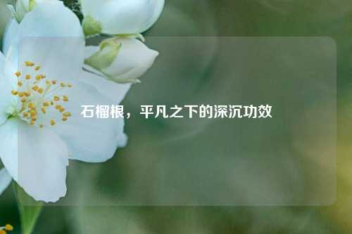 石榴根，平凡之下的深沉功效