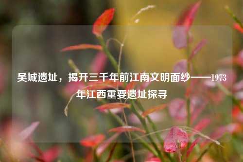 吴城遗址，揭开三千年前江南文明面纱——1973年江西重要遗址探寻