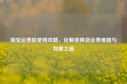 淘宝运费险使用攻略，化解退换货运费难题与划算之道