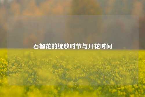 石榴花的绽放时节与开花时间