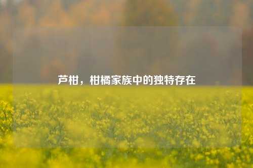 芦柑，柑橘家族中的独特存在