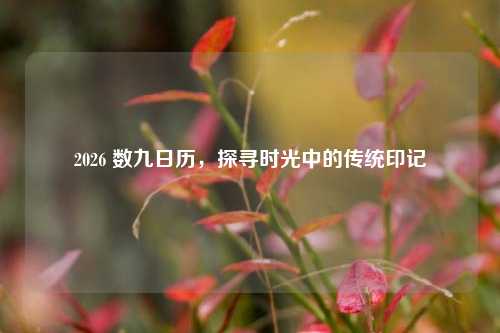 2026 数九日历，探寻时光中的传统印记