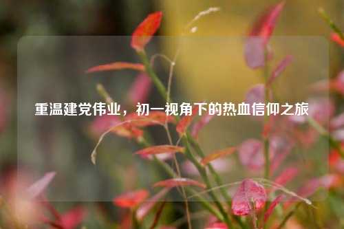 重温建党伟业，初一视角下的热血信仰之旅