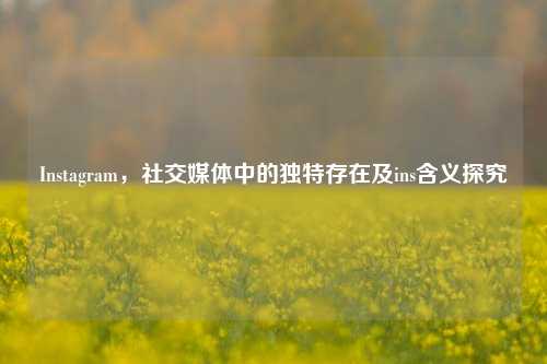 Instagram，社交媒体中的独特存在及ins含义探究