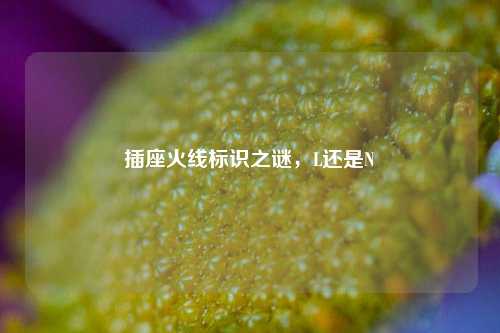 插座火线标识之谜，L还是N