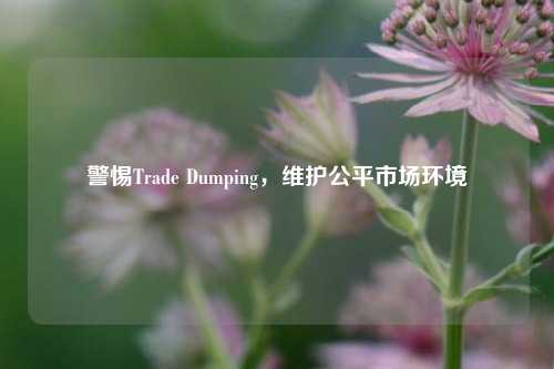 警惕Trade Dumping，维护公平市场环境