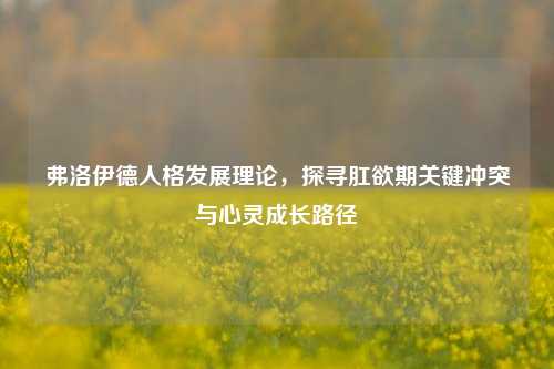 弗洛伊德人格发展理论，探寻肛欲期关键冲突与心灵成长路径