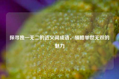 探寻独一无二的近义词成语，领略举世无双的魅力