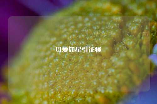 母爱如星引征程