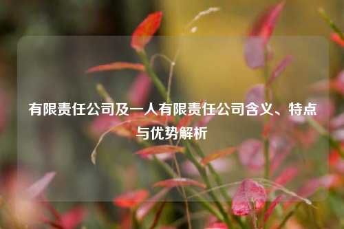 有限责任公司及一人有限责任公司含义、特点与优势解析