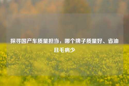 探寻国产车质量担当，哪个牌子质量好、省油且毛病少