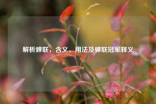 解析蝉联，含义、用法及蝉联冠军释义