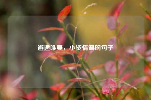 邂逅唯美，小资情调的句子