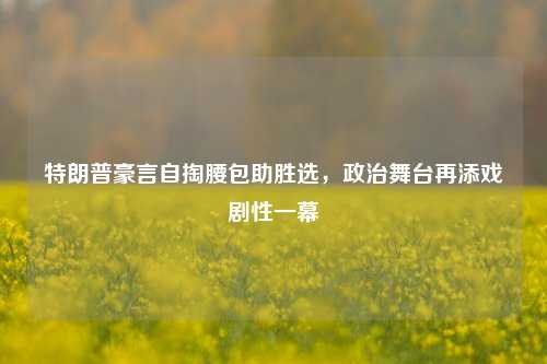 特朗普豪言自掏腰包助胜选，政治舞台再添戏剧性一幕