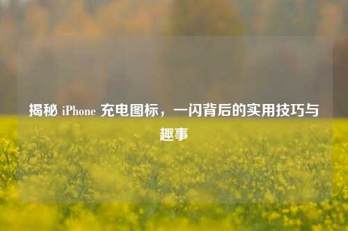 揭秘 iPhone 充电图标，一闪背后的实用技巧与趣事