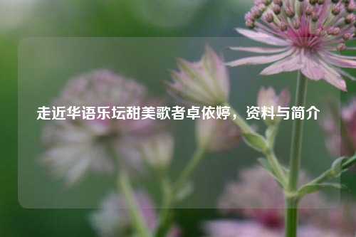 走近华语乐坛甜美歌者卓依婷，资料与简介
