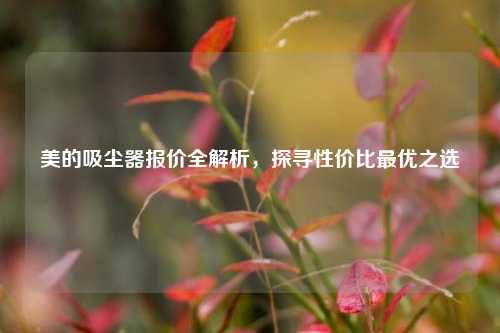 美的吸尘器报价全解析，探寻性价比最优之选