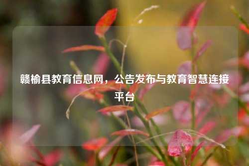 赣榆县教育信息网，公告发布与教育智慧连接平台