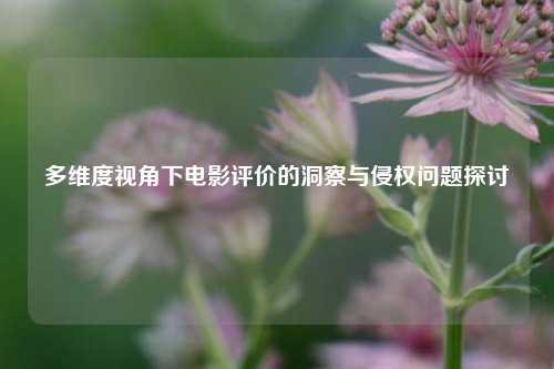 多维度视角下电影评价的洞察与侵权问题探讨