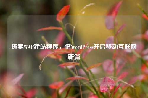探索WAP建站程序，借WordPress开启移动互联网新篇