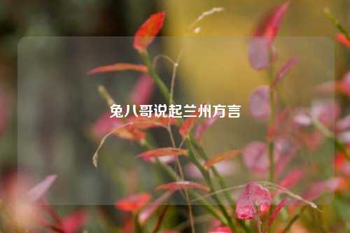 兔八哥说起兰州方言