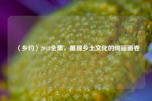 〈乡约〉2018全集，展现乡土文化的绚丽画卷